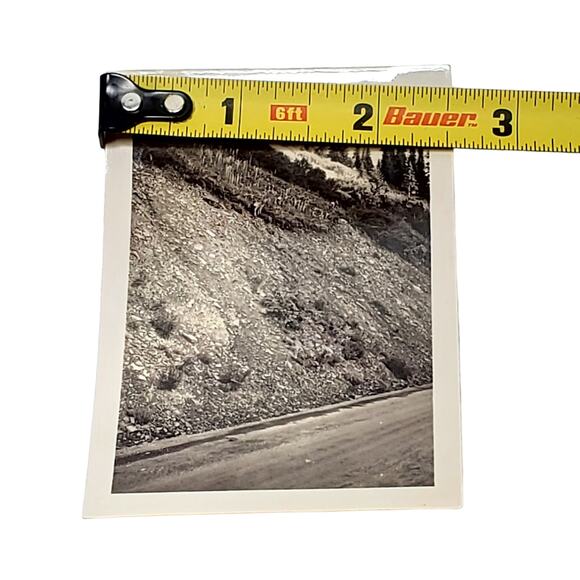 Vtg B&W Photo 1940s Found Yellowstone National Park Fawn Near Road Snapshot - Picture 4 of 4